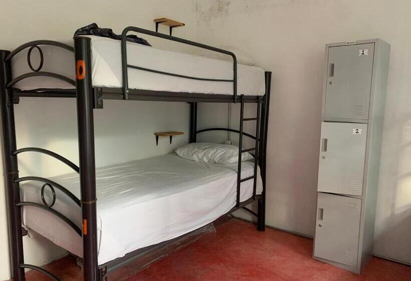 膳宿费 Anamaya Hostal