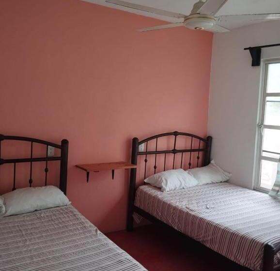 膳宿费 Anamaya Hostal