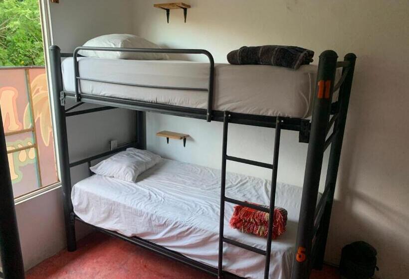 膳宿费 Anamaya Hostal