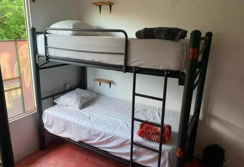 ペンション Anamaya Hostal