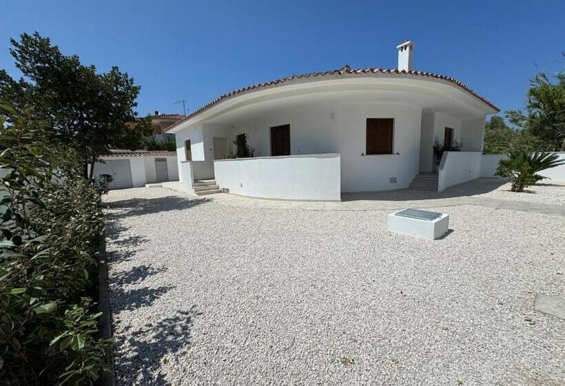 پانسیون Modern Room