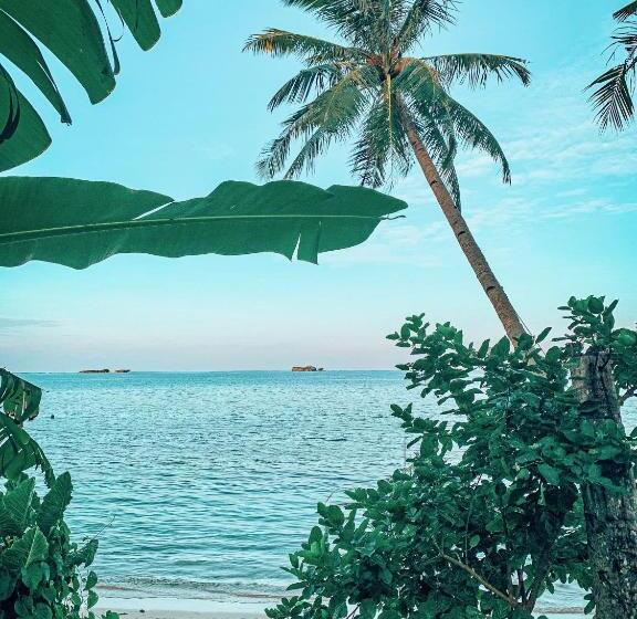 Shakabrah Resort And Skatepark