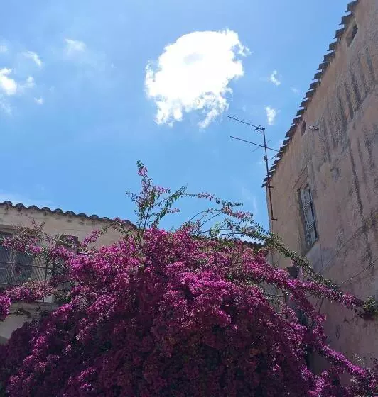 Aamiaismajoitus (B&B) Casa M