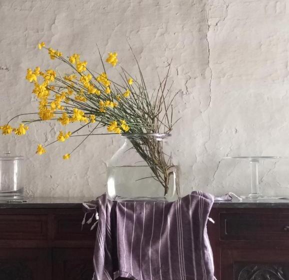 Bed and Breakfast Casa M