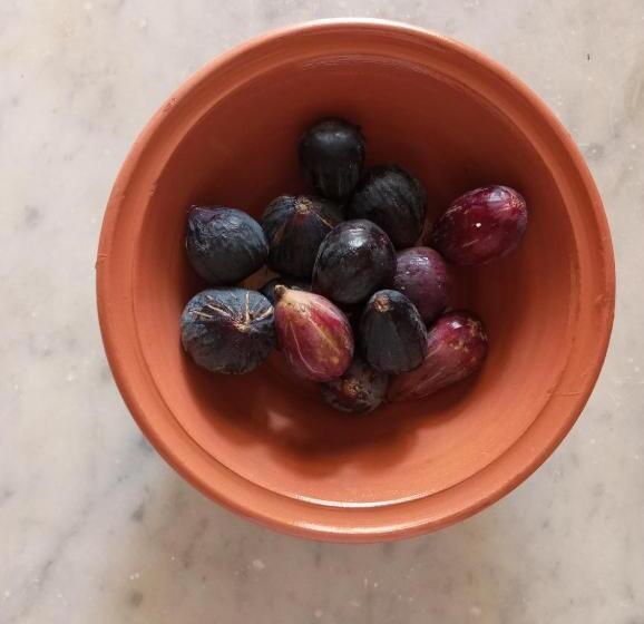 Bed and Breakfast Casa M