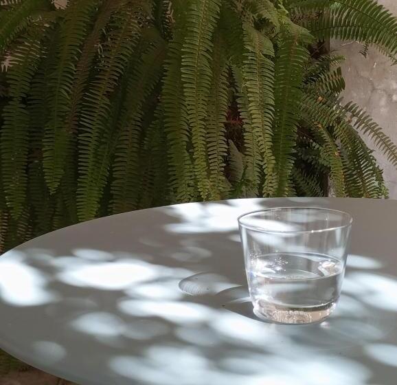 Bed and Breakfast Casa M