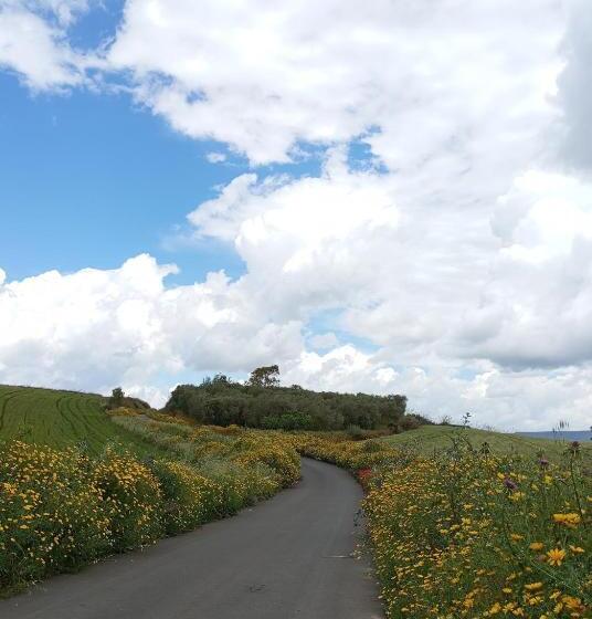 Bed and Breakfast Casa M