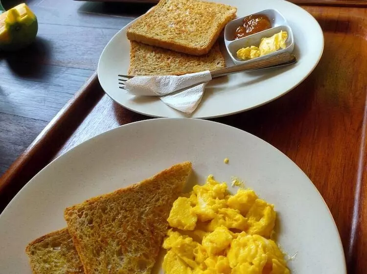 ペンション Vanaya Lodge