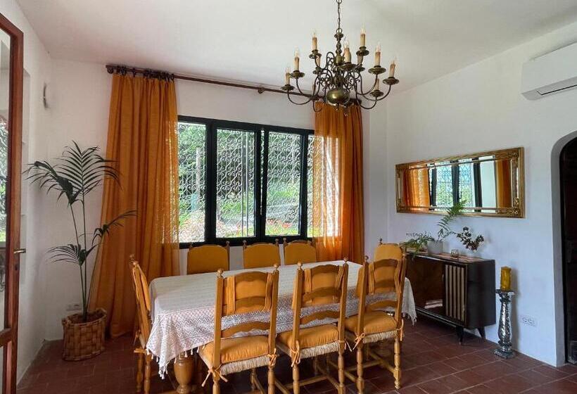 پانسیون Villa D Alba Guest House