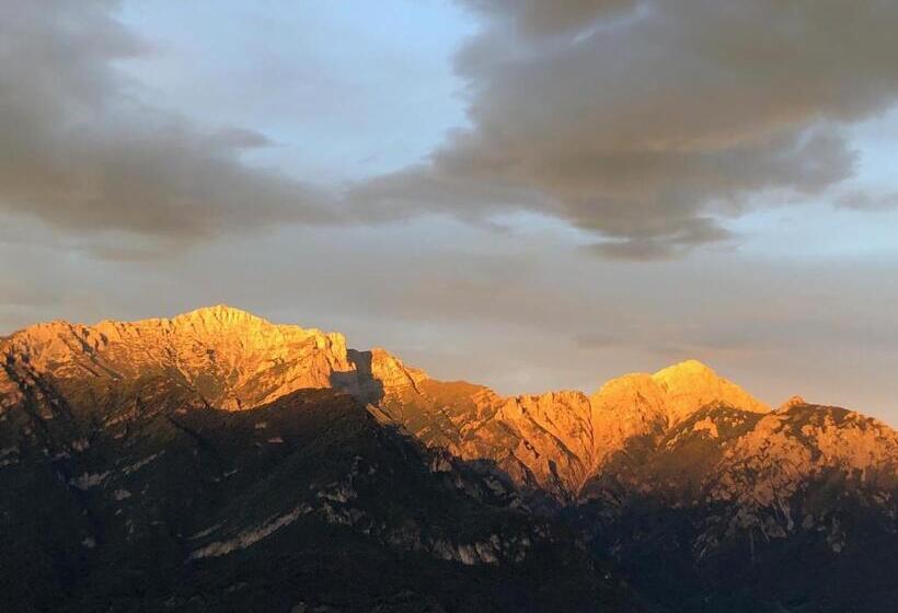 پانسیون Villa D Alba Guest House