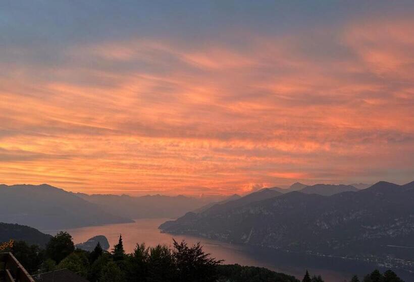 پانسیون Villa D Alba Guest House