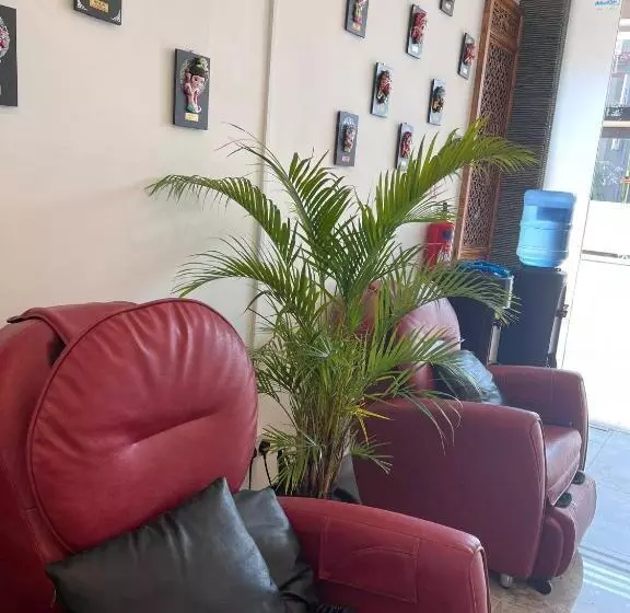 هاستل Coller Chinatown