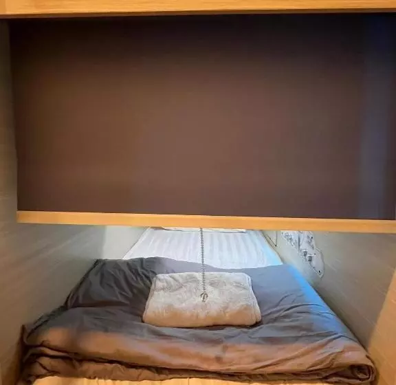 هاستل Coller Chinatown