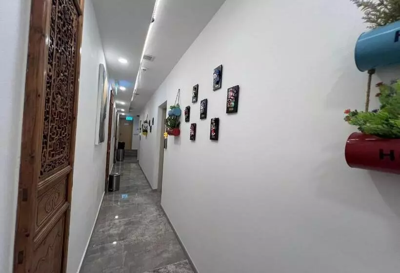 هاستل Coller Chinatown