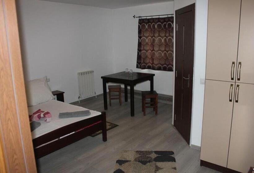 בית מלון כפרי Hanul Lui Matei 1