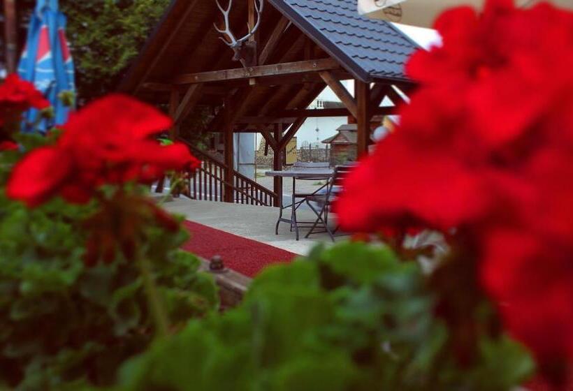 בית מלון כפרי Hanul Lui Matei 1