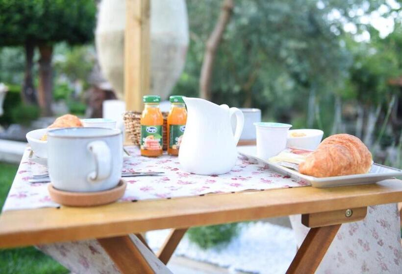 膳宿费 Casa Nonna Generosa