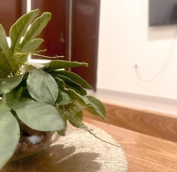 Hostel Suites Viru Viru By Hospedarte