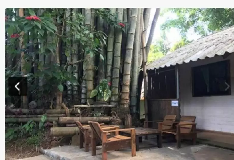 ペンション Palacoffeehouse ปางอุ๋ง
