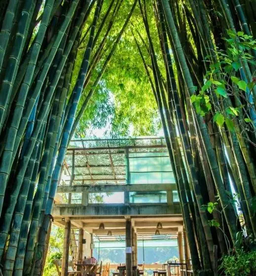 ペンション Palacoffeehouse ปางอุ๋ง