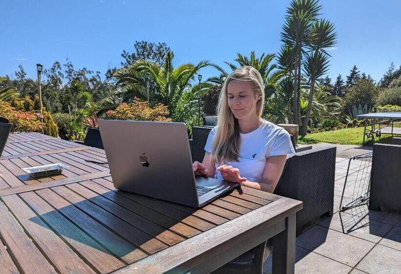 هاستل Homeoffice Madeira Coliving & Coworking With A Nice Community