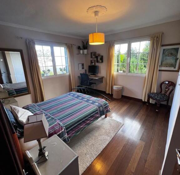 هاستل Homeoffice Madeira Coliving & Coworking With A Nice Community