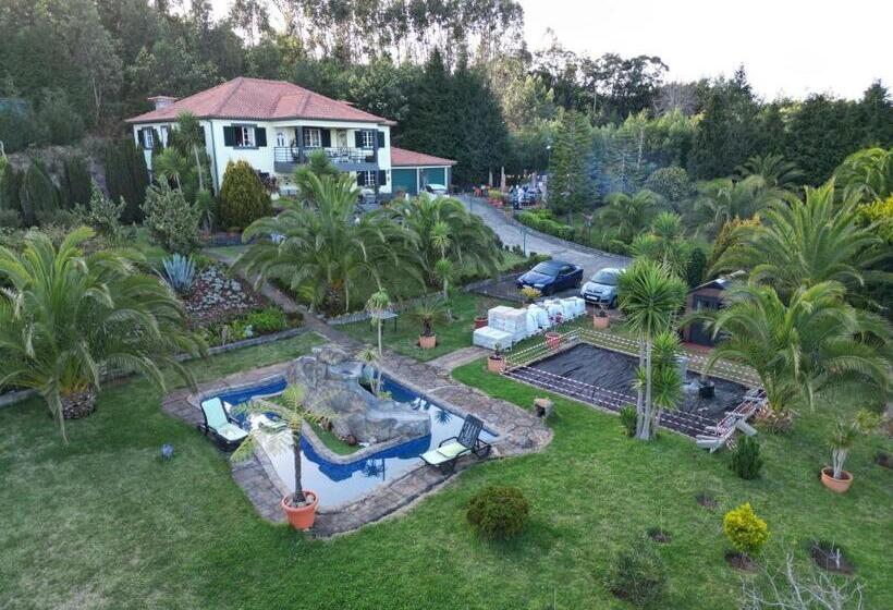 هاستل Homeoffice Madeira Coliving & Coworking With A Nice Community