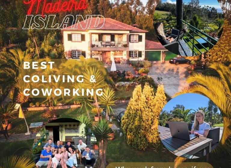 هاستل Homeoffice Madeira Coliving & Coworking With A Nice Community