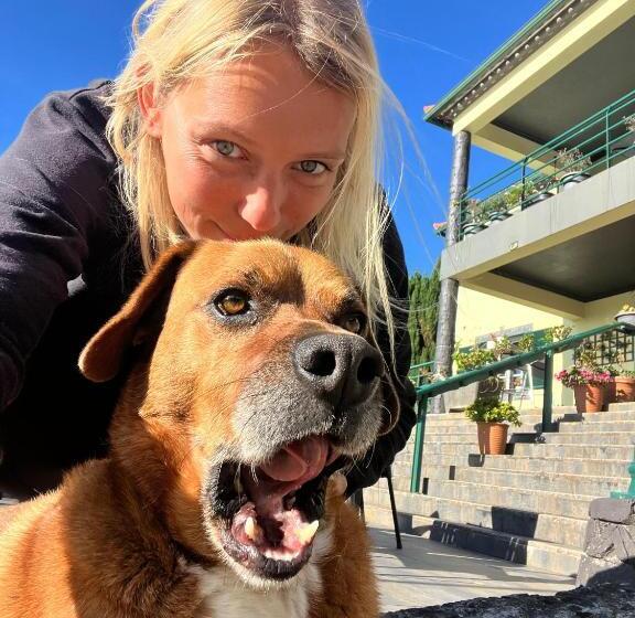 هاستل Homeoffice Madeira Coliving & Coworking With A Nice Community