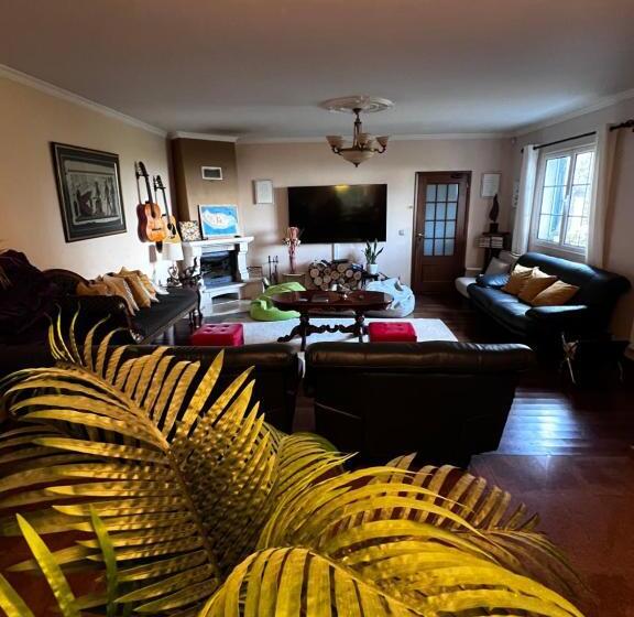 هاستل Homeoffice Madeira Coliving & Coworking With A Nice Community