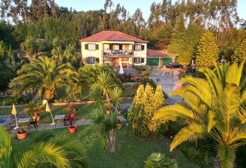 هاستل Homeoffice Madeira Coliving & Coworking With A Nice Community