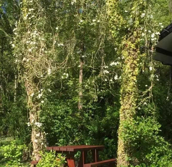 Aamiaismajoitus (B&B) Local Accommodation For Motocycle Off Road Centres