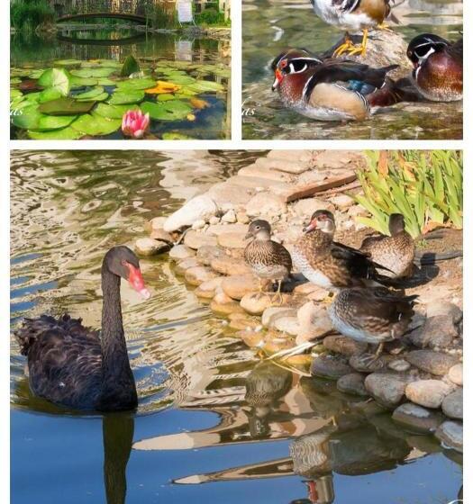 Cascadas Family Resort