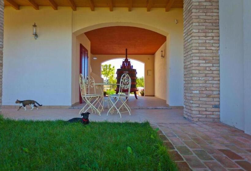 酒店 Nuova Scardua Agr Cucina Tipica