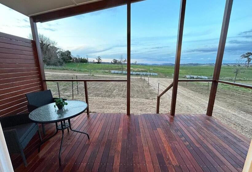 酒店 Red Hill Cabin #1 Walcha