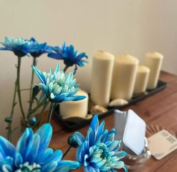 Majatalo Le Finestre Veneris