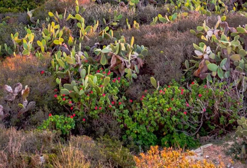 Lomakeskus Faro Capel Rosso