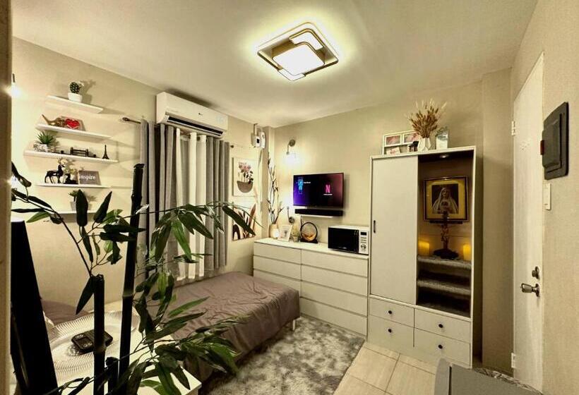 Hostel Don Seroy Backpackers Inn