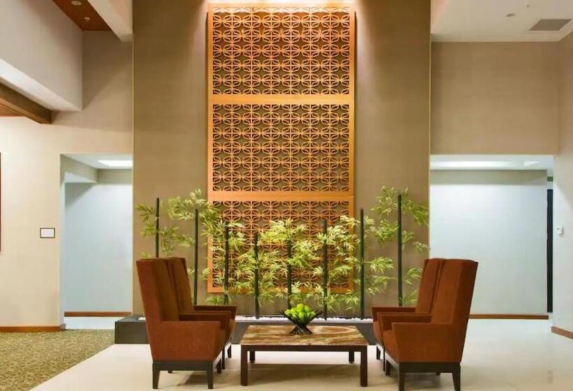 هاستل Spacious & Luxurious King Suite At Los Cabos