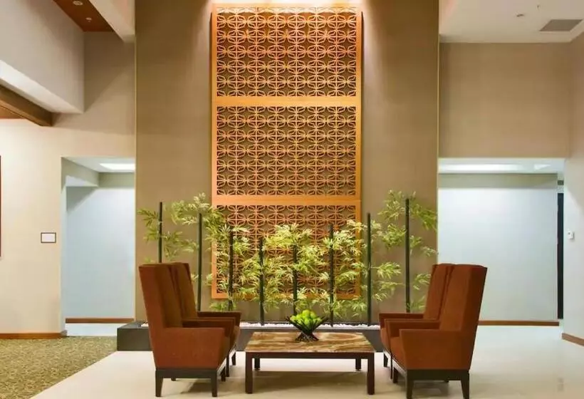 هاستل Spacious & Luxurious King Suite At Los Cabos