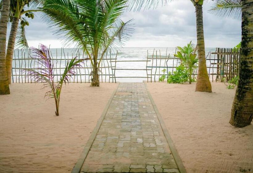 مبيت وإفطار Silver Sands Beach