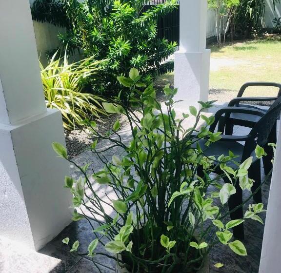 مبيت وإفطار Silver Sands Beach