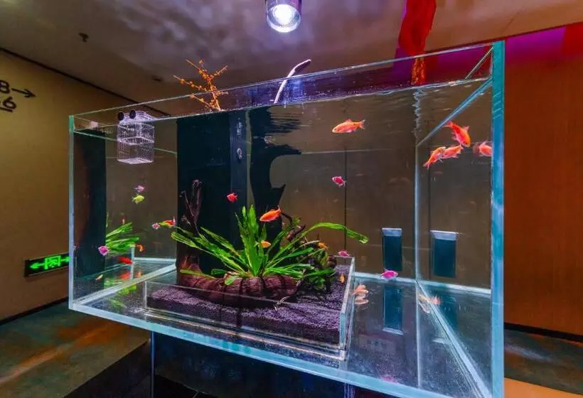 ホテル Chengdu Cosy Inn