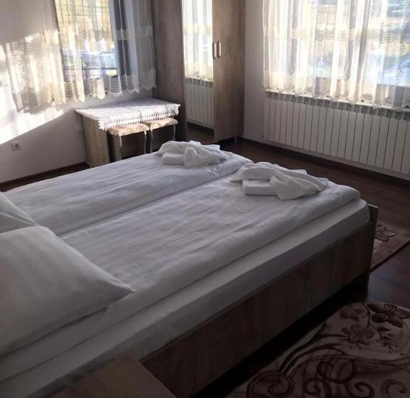 פנסיון Casa De Vacanta