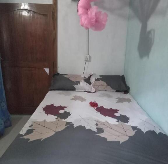 بنسيون Nishan Villa