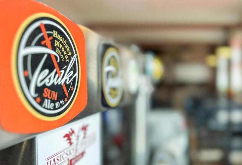 ペンション Penzion U Fandy