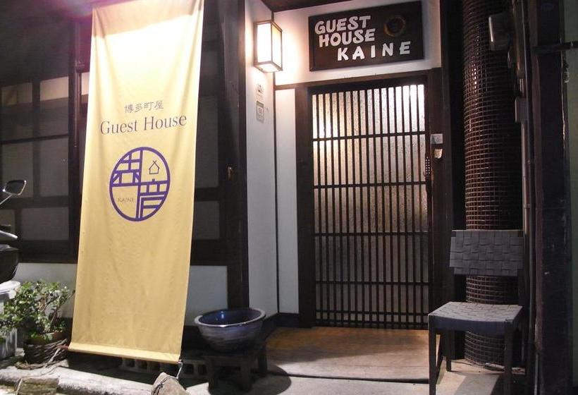 فندق صغير Guest House Kaine