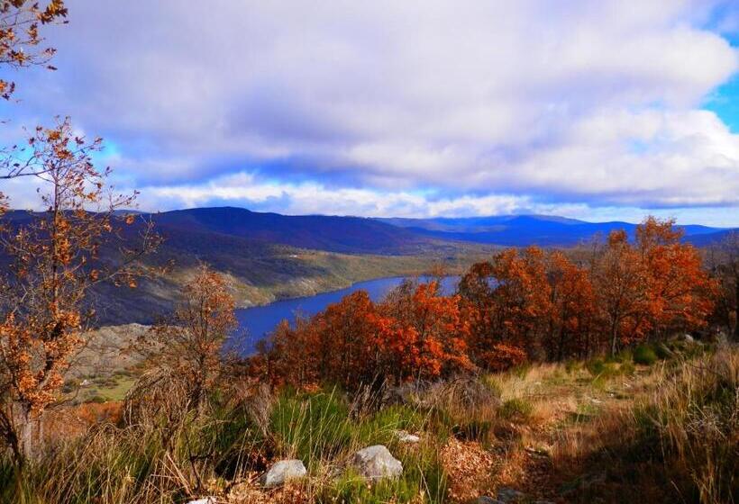 Общежитие Caminito Arg