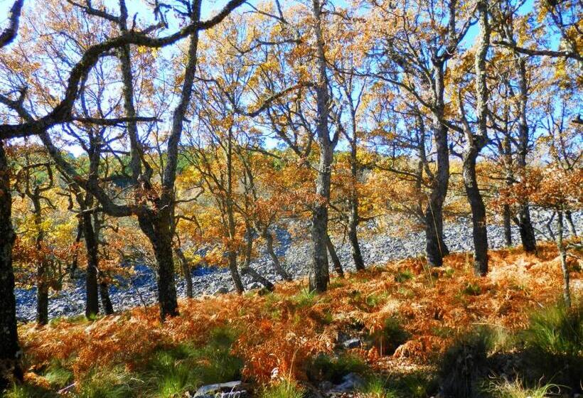 Общежитие Caminito Arg