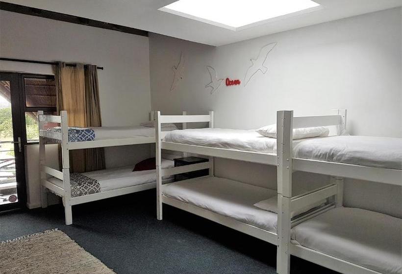 Общежитие St Francis Bay Backpackers